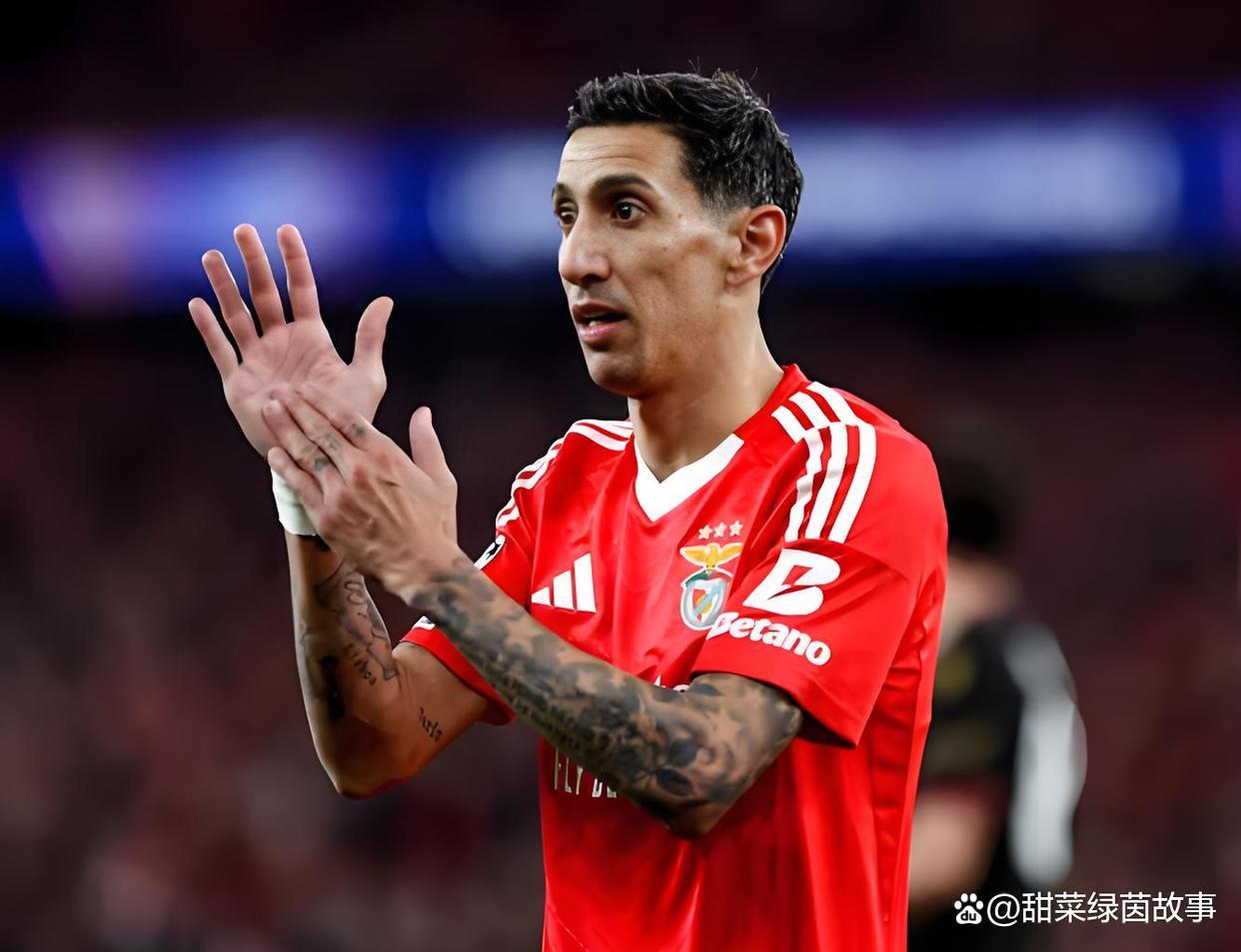 ayx关于本菲卡迎意甲关键赛，窗口期造点机会，悬念犹存，更衣室氛围转暖的信息